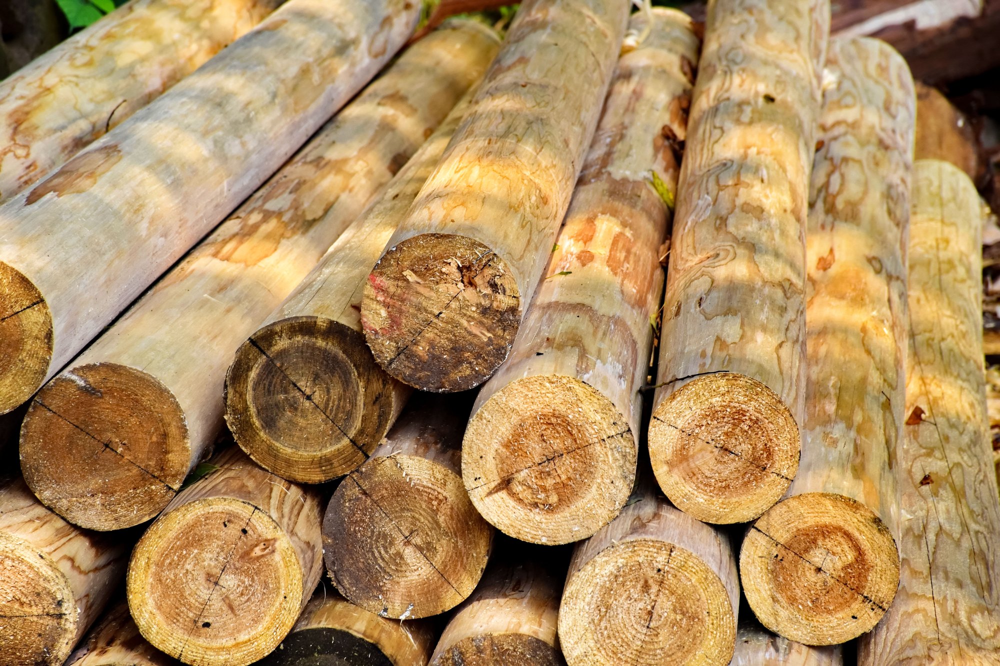 Wood